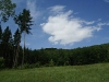 DSC03080