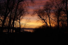 Bodensee Impressionen