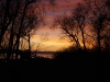 DSC08196