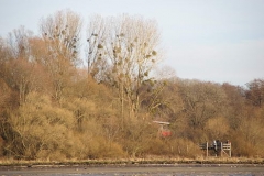 Herbst Impressionen