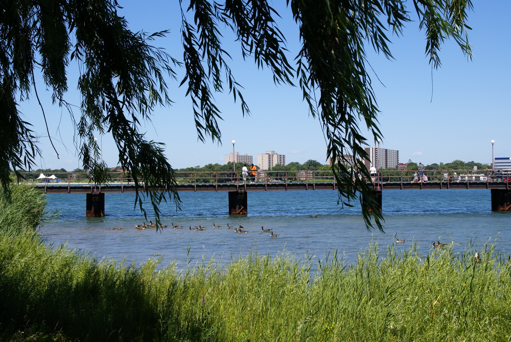 dsc09042_bildgrose-andern dsc09042_bildgrose-andern