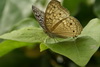 DSC05764